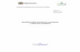 Informe Seguridad Ciudadana Y Derechos Hunanos. Comisión Interamericana de Derechos Humanos - CIDH