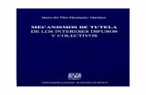 Mecanismos de tutela de los intereses difusos y colectivos; Hernández, María del Pilar; 1997