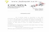 Manual Sobre La Cocaina (Obtencion, Purificacion,Sintesis,Reconocimiento y Estabilizacion)