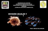 1.) Introducci³n a la Embriolog­a, Divisi³n Celular y Gametog©nesis - Prof. Merlin Villamizar