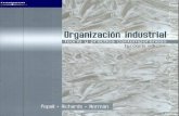 Organización Industrial- Teorías Y Prácticas Contemporáneas Escrito por Lynne Pepall-Daniel J. Richards-George Norman