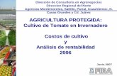 Agricultura Protegida Cultivo de Tomate en Invernadero - Costos de Produccion y Analisis de ad 2006 - Jun 2007