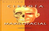Cirugía maxilofacial- patología quiruŕgica de la cara- boca- cabeza y cuello Escrito por Guillermo Raspall