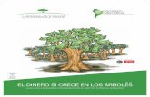 Guia Financiera Forestal Bolivia