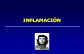 Inflamaci³n- Inmunologia Medicina