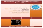 Monografía Alcoholismo en la Juventud Guayaquileña