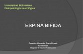 Espina Bifida Hidrocefalia