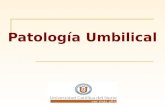 50B.- Patología Umbilical