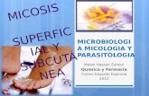 Microbiologia Micologia y Parasitologia