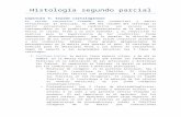 Histología segundo parcial (1)