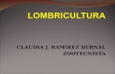 Presentacion Lombricultura Tema 1