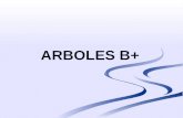Arboles b+.Ppt