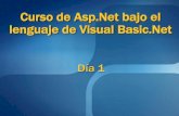 Curso de ASP.net Bajo Lenguaje de Programacion VBNet - Dia 1