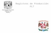 Registros de Produccion PLT