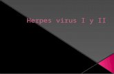 Herpes virus I y II