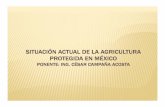 Situacion Actual de La Agricultura Protegida en Mexico
