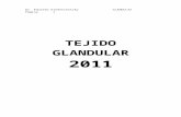 glandular 2011