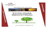 Apuntes Ecologia Industrial Para Convertir a PDF