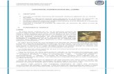 Informe de Lixiviacion y Cementacion de Cobre 2012- A - Copia