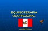 Equinoterapia To