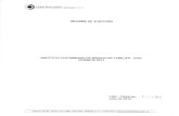 Informe de la Contraloría sobre la auditoría al ICBF