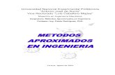Métodos Aproximados en Ingeniería del.Ingeniero Pablo Rodríguez,PhD