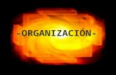 Diapositivas de Organizacion Seccion b