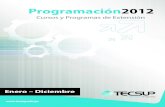 Programa Anual de Capacitaciones Tecsup 2012