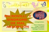 Microvilli y Síndrome de Mal absorción