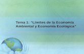 Limites economia ambiental y ecológica