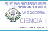 Planeacion Ciencia i Bimestre 4 y 5o 2012