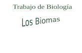 Trabajo biologia- Los Biomas 4º ESO