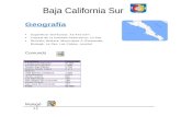 Baja California Sur! Trabajo Analisis de La Realidad Nacional (2)
