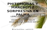 Phitomonas y Marchitez Sorpresiva en Palma