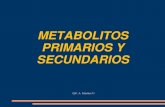 Metabolitos Primarios y Secundarios - Clase 3