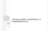 Evolución, genética y experiencia