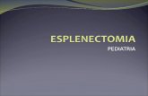 Esplenectomia Anato y Tecnica Qx
