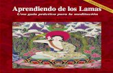 Aprendiendo de Los Lamas