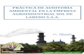 PRÁCTICA DE AUDITORÍA AMBIENTAL EN LA EMPRESA AGROINDUSTRIAL SOL DE LAREDO S.A.A.