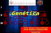 CLASE 15- EXPRESION GENETICA.ppt
