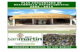 Pcdd San Martin 2008 - 2015 (Documento Completo)