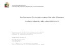 Informe Cromatografía Gases CASI FINAL CON CORRECCION Gráfico