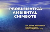 problemas ambiental en chimbote