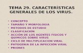TEMA 29. DIAPOSITIVAS. Generalidades Virus