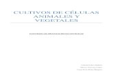 Cultivo de células vegetales y animales