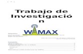 Informe Final Wimax