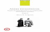 AGOSTINI, Alberto María de - Andes Patagónicos. Viajes de exploración a la Cordillera Patagónica Austral - Tomo I