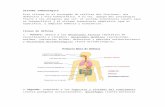 Biología - Sistema Inmunológico (Resúmen).doc