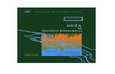 Guia de Practicas Hidrogeologicas-OMM.pdf