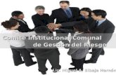 6. Comité Institucional-Comunal de Gestión del Riesgo